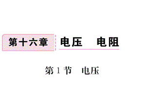 人教版物理九年级全册（贵州）作业课件-161电压（共21张PPT）.ppt