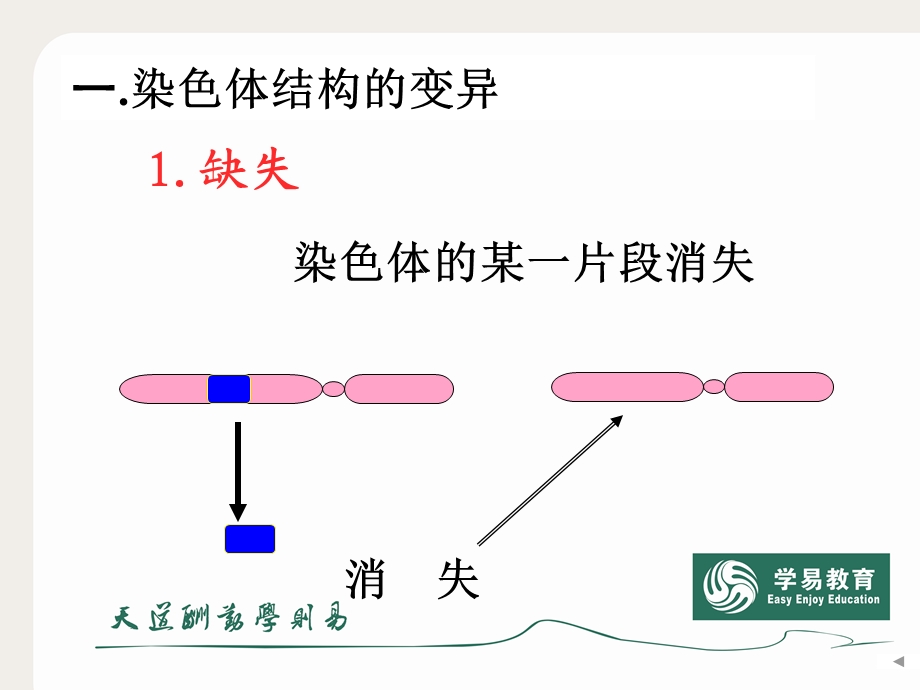 染色体变异 (2).ppt_第2页