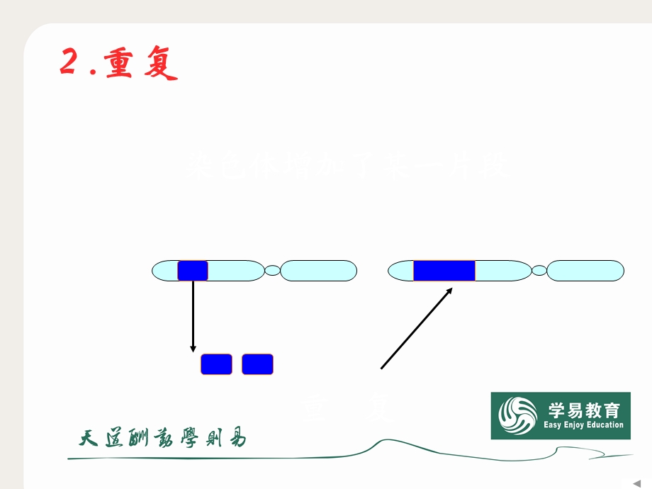 染色体变异 (2).ppt_第3页