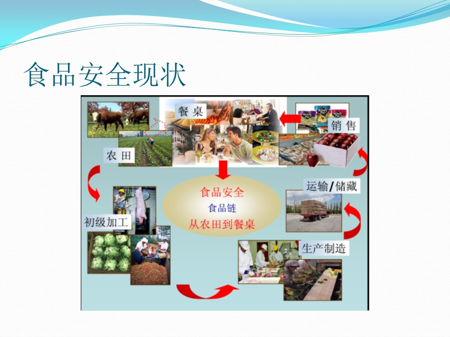 四川省学校食堂食品安全培训.ppt_第3页