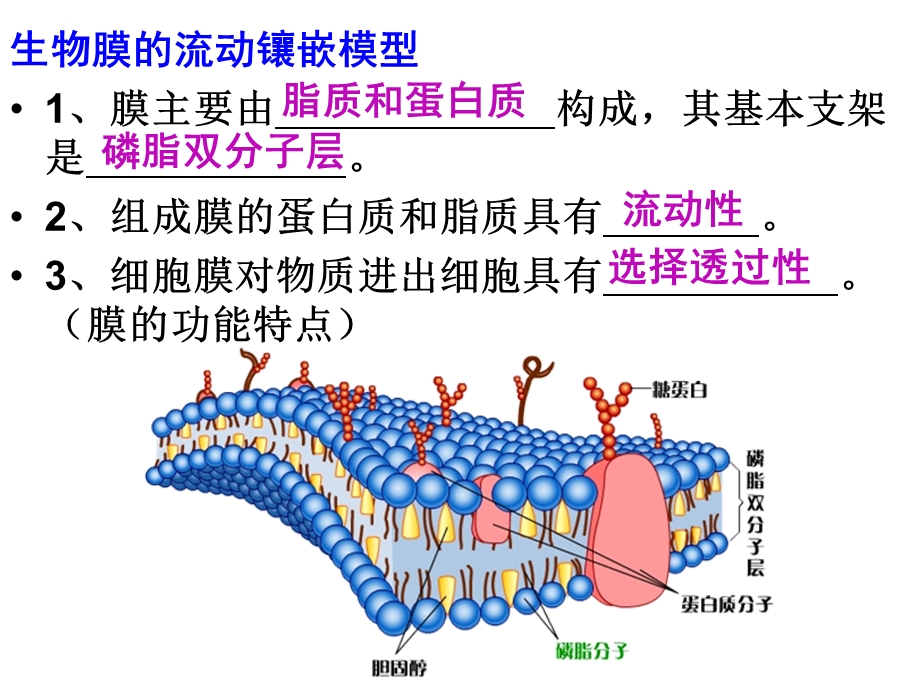 物质进出细胞的方式[2].ppt_第1页