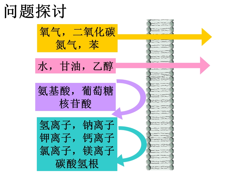 物质进出细胞的方式[2].ppt_第3页