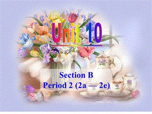 新目标九年级英语unit10sectionB（2a-2e).ppt