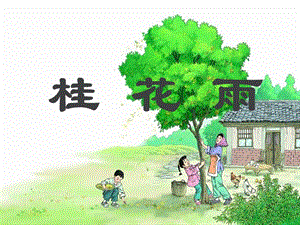 桂花雨课件 (3).ppt