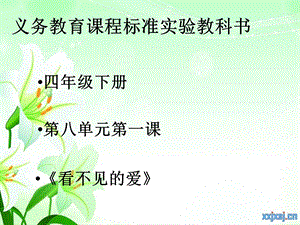 看不见的爱 (2).ppt