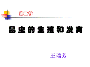 昆虫的生殖和发育 (3).ppt