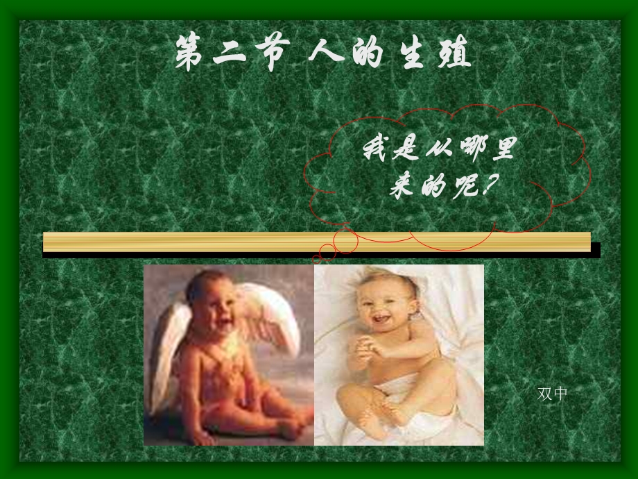 人的生殖课件 (2).ppt_第1页