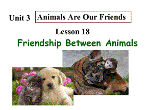 八年级（下）L18friendshipbetweenanimals（共31张PPT）.ppt