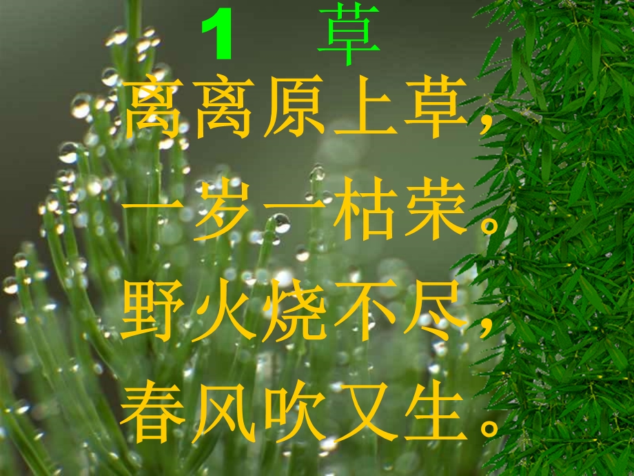 古诗两首《草》课件.ppt_第2页