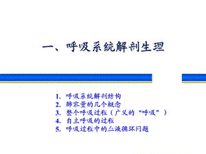 呼吸系统解剖生理与呼吸机基本模式文档资料.ppt