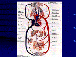 北京大学医学部病理学系北医三院病理科朱翔血液循环障碍1ppt课件文档资料.ppt