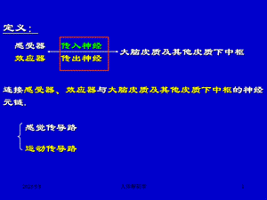 三章中枢神经的传导通路文档资料.ppt