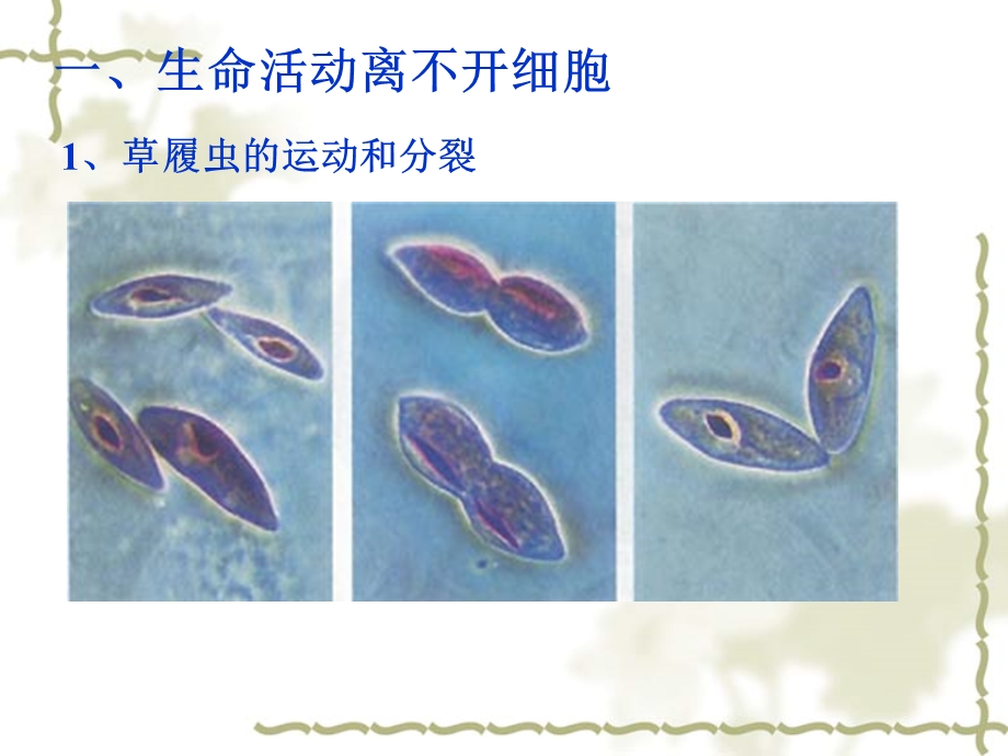 一章走近细胞文档资料.ppt_第3页