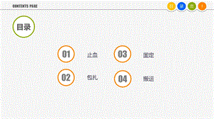 现场急救处置第四章文档资料.ppt