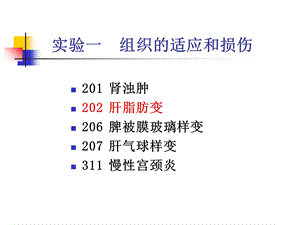 实验1适应与损伤文档资料.ppt