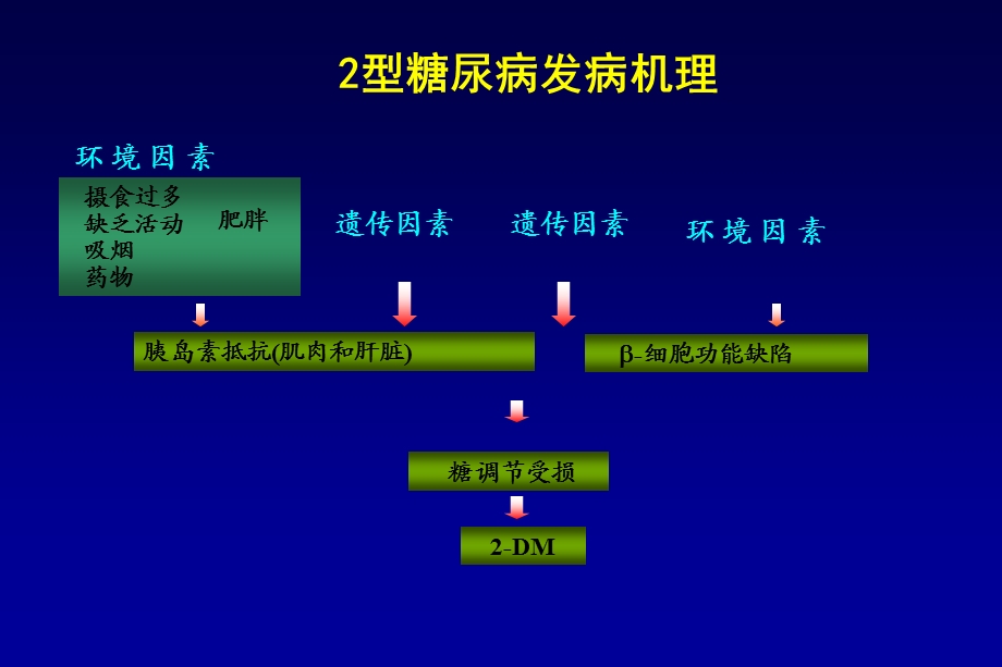 最新：2型糖尿病的治疗文档资料文档资料.ppt_第2页