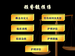 急性颈脊髓损伤院前急救护理文档资料.ppt