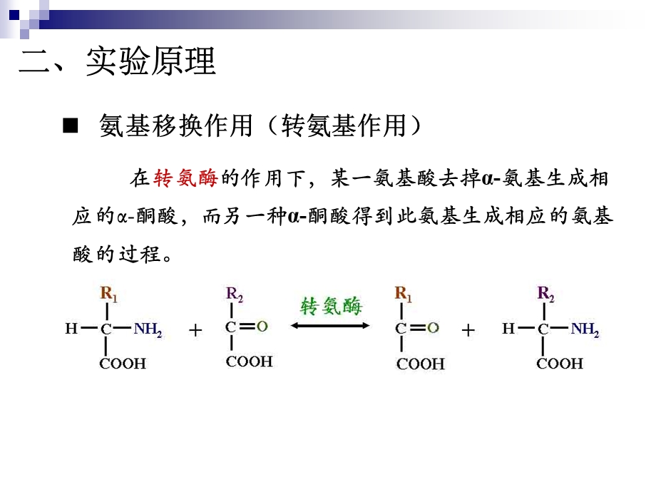 实验四肌肉组织氨基移换作用纸层析文档资料.ppt_第2页