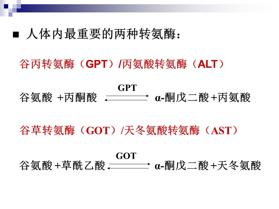 实验四肌肉组织氨基移换作用纸层析文档资料.ppt_第3页