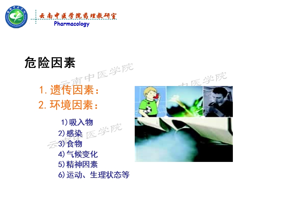 平喘药药理学课件文档资料.ppt_第2页