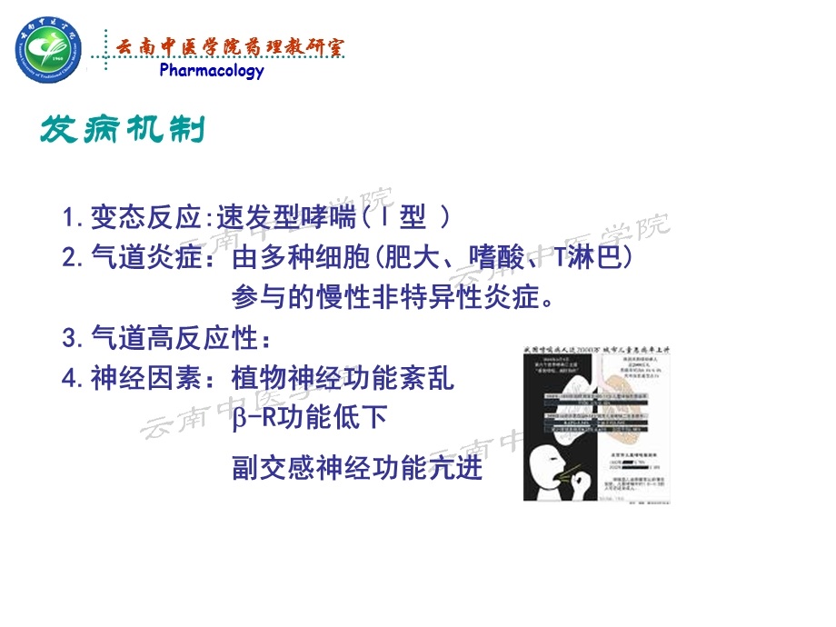 平喘药药理学课件文档资料.ppt_第3页