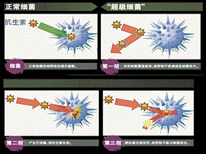 抗生素如何使用文档资料.ppt