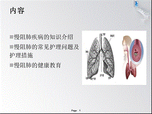 慢阻肺疾病的康复期护理ppt课件文档资料.ppt