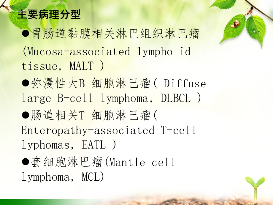 原发性胃肠道淋巴瘤文档资料.ppt_第2页