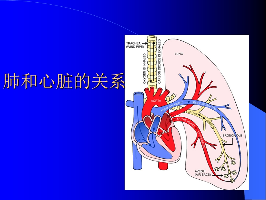 慢性肺原性心脏病的护理文档资料.ppt_第1页