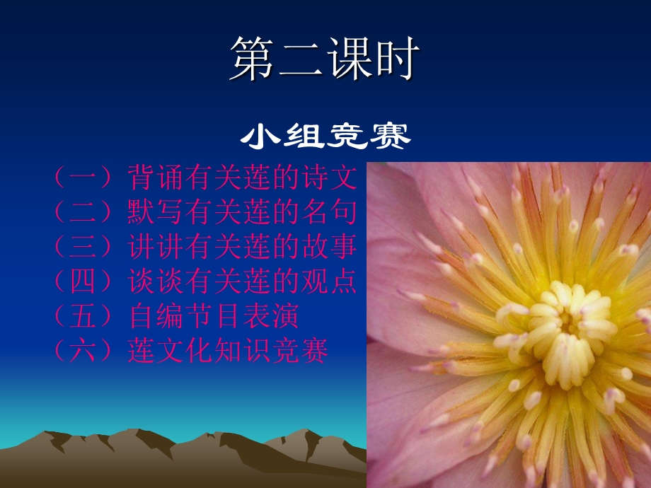 莲文化的魅力课件.ppt_第3页