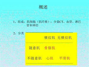 最新4第四章肌肉组织PPT文档文档资料.ppt