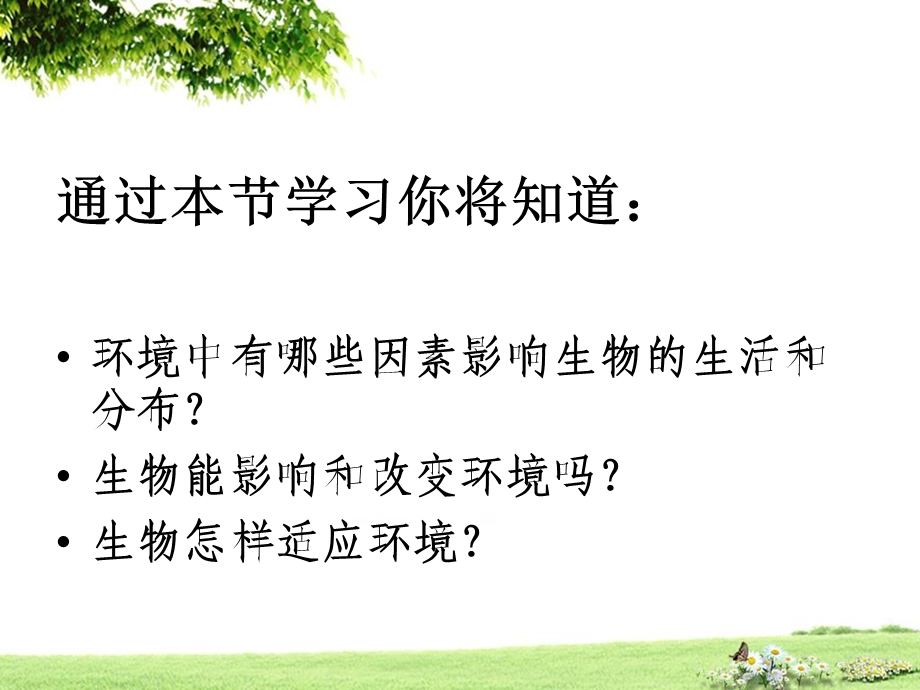 生物与环境的关系 (2).ppt_第3页