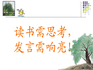 青海高原一株柳 (5).ppt