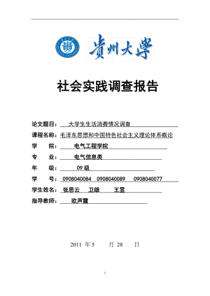 [其它]关于大学生消费情况的调查实践报告1gg.doc