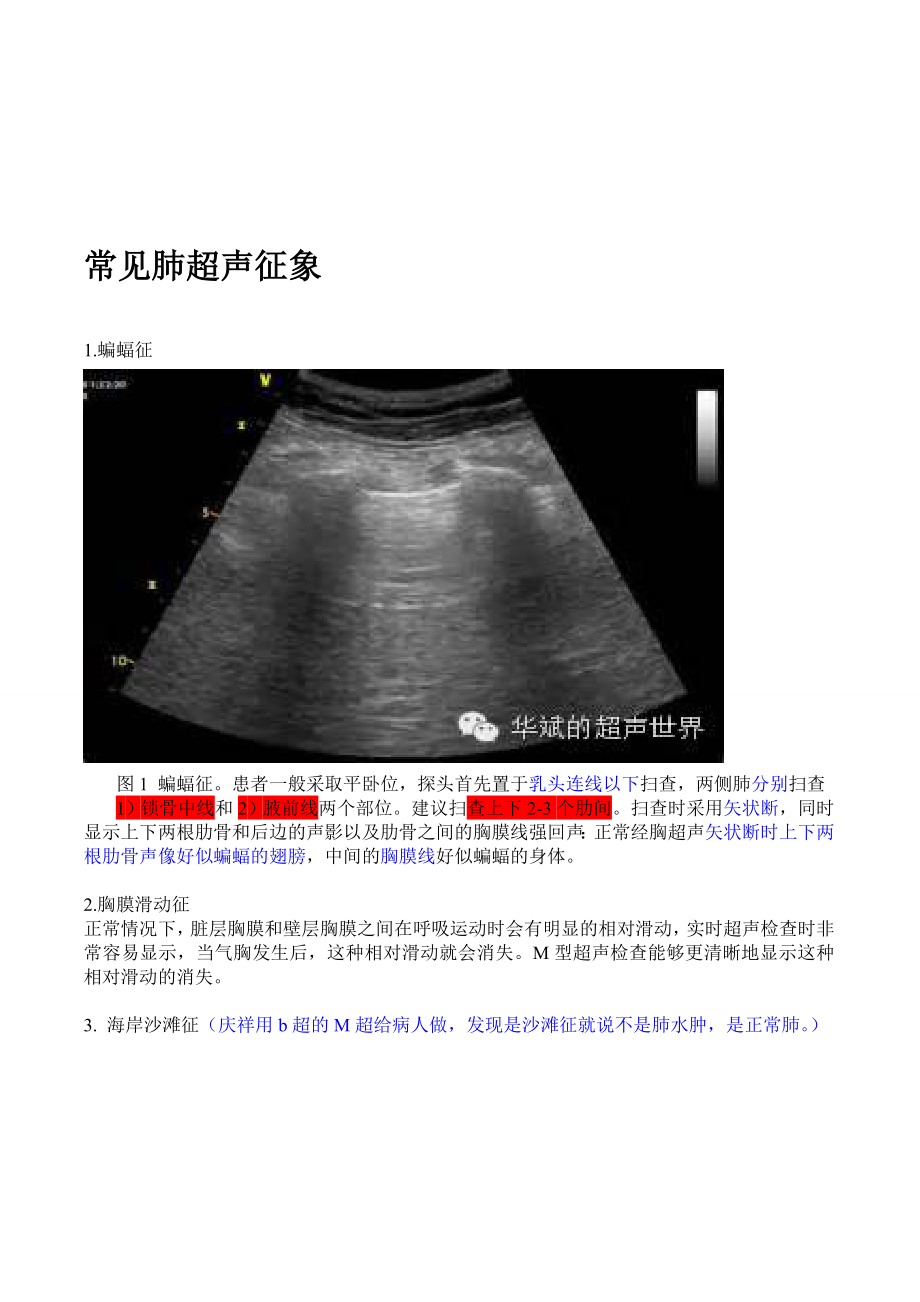 最新肺部超声一些常见形象征象的解释汇编.doc_第1页