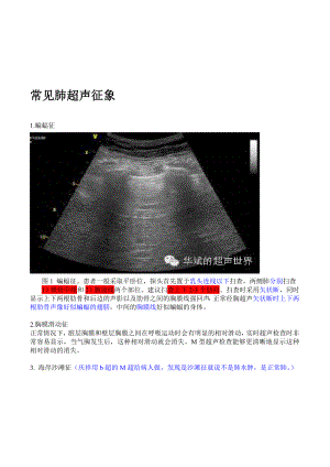 最新肺部超声一些常见形象征象的解释汇编.doc