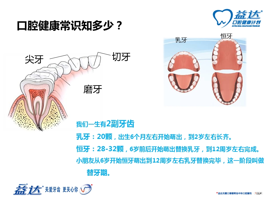 口腔健康知识学习文档资料.ppt_第3页