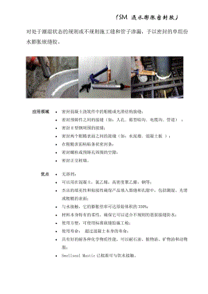 [基础科学]对处于潮湿状态的规则或不规则施工缝和管子渗漏.doc