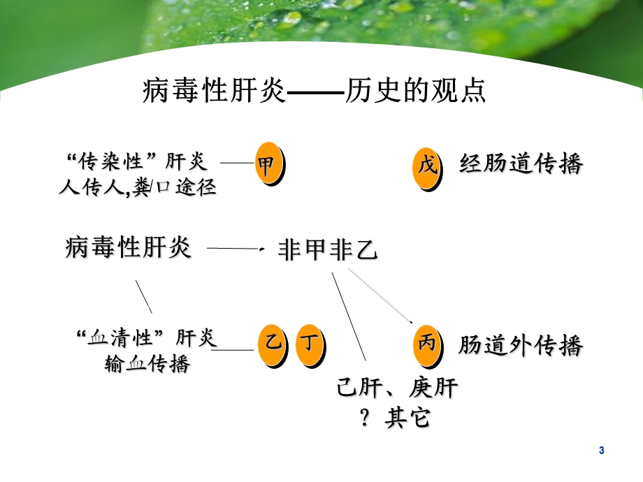 流行病学病毒性肝炎文档资料.ppt_第3页