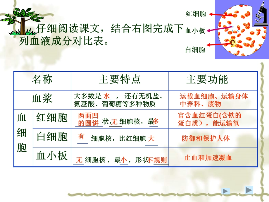 一节流动的组织血液PPT文档.ppt_第3页