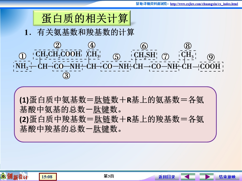 课件5蛋白质的相关计算.ppt_第3页