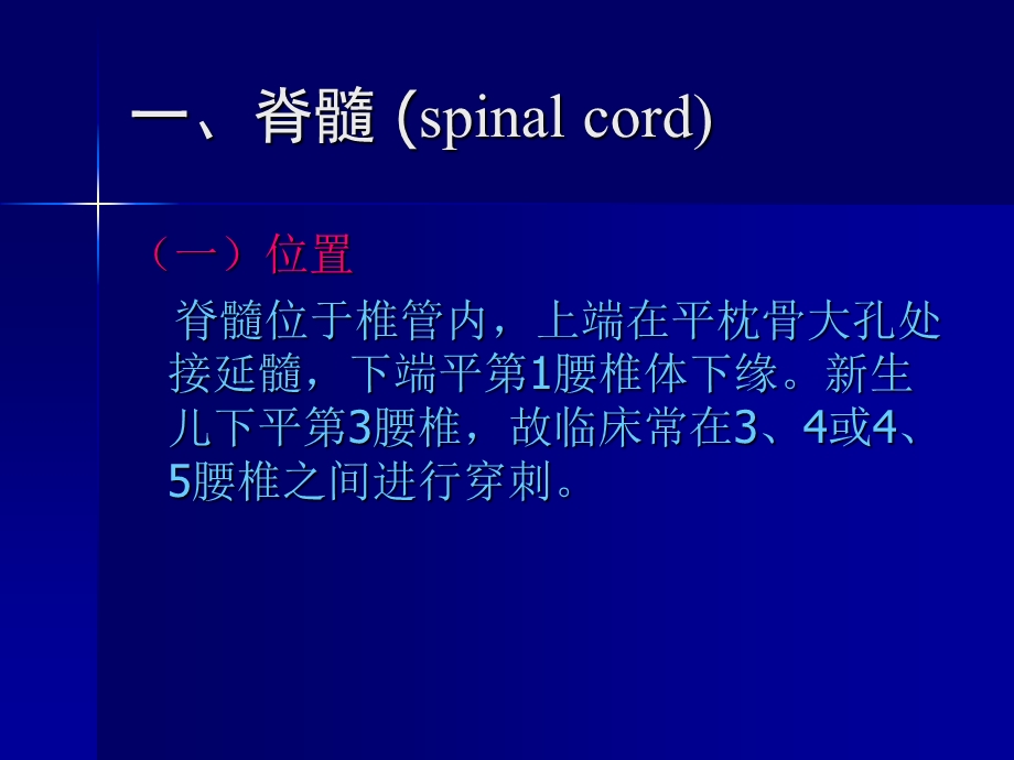 神经系统学习—— 脊髓和脊神经文档资料.ppt_第2页