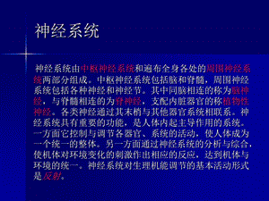 神经系统学习—— 脊髓和脊神经文档资料.ppt