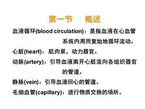 七章血液循环PPT文档.ppt