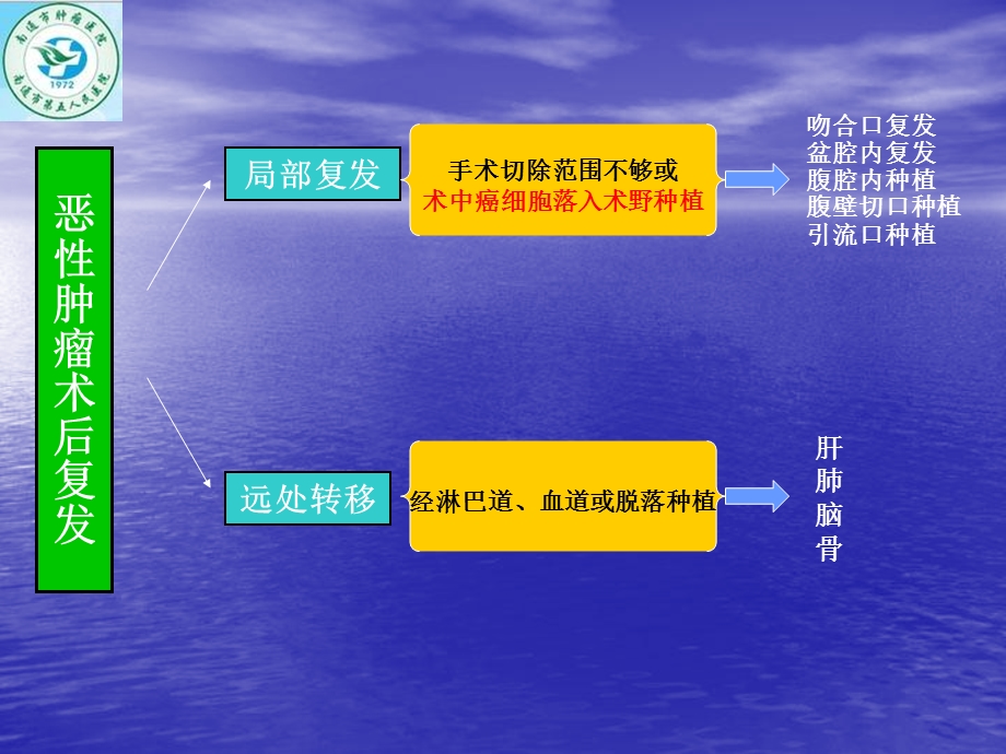 再谈肿瘤外科的无瘤技术和原则文档资料.ppt_第2页