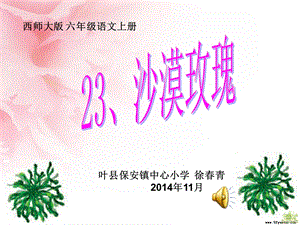 23、沙漠玫瑰郑庄学校吕翠平.ppt