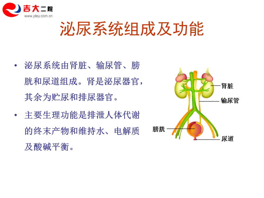 核医学06骨骼及泌尿系统核医学新文档资料.ppt_第1页