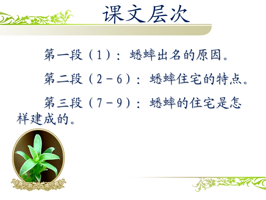 蟋蟀的住宅(1).ppt_第3页