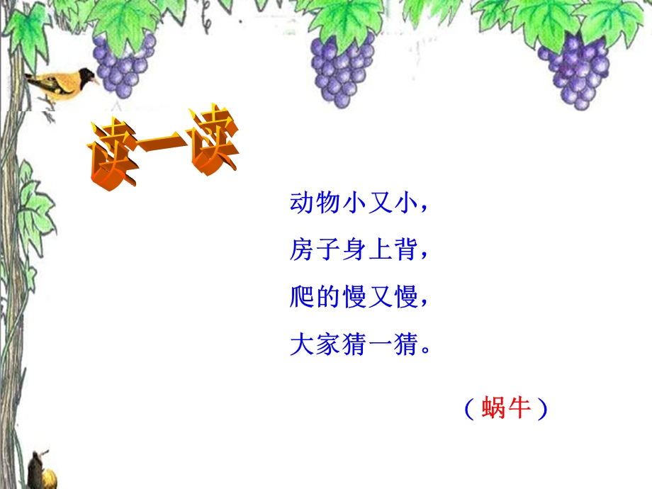 蜗牛与黄鹂鸟课件 (3).ppt_第3页