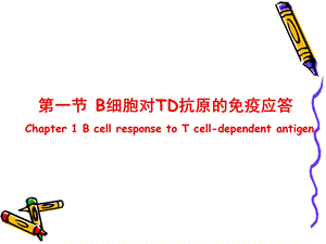 双语第十三章b淋巴细胞介导的体液免疫应答文档资料.ppt